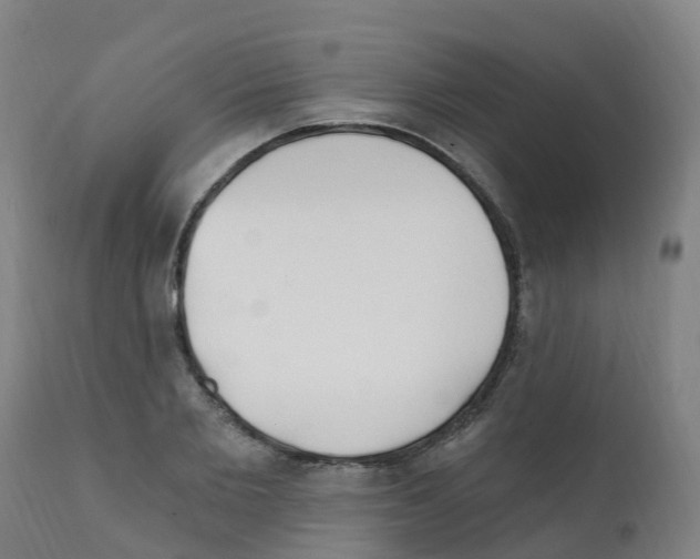 X0000112390885200909241236