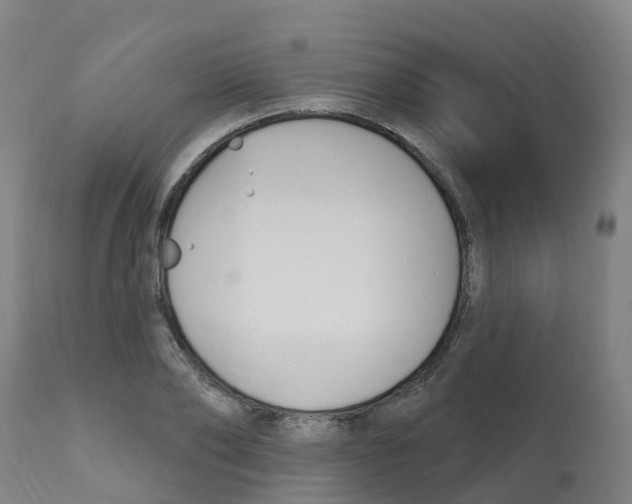 X0000112390886200909241236