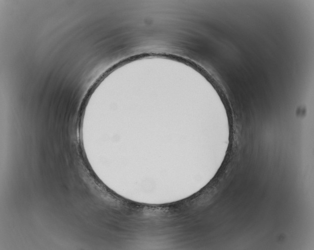 X0000112390887200909241236