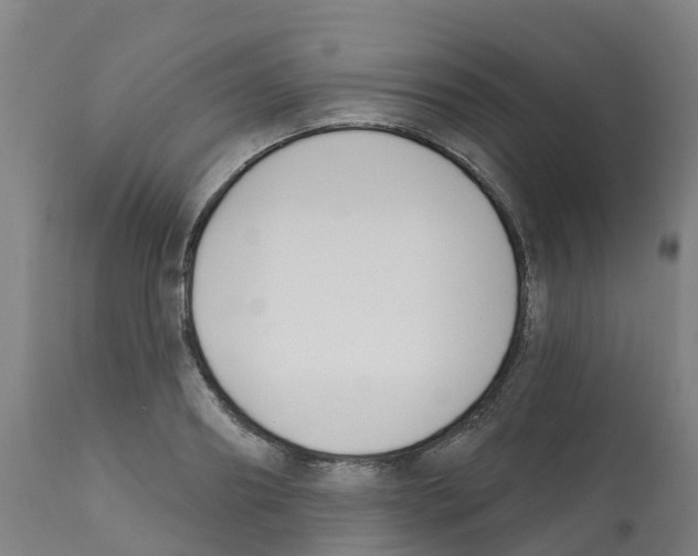 X0000112390890200909241236