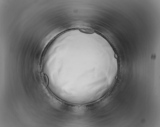 X0000112390893200909241236