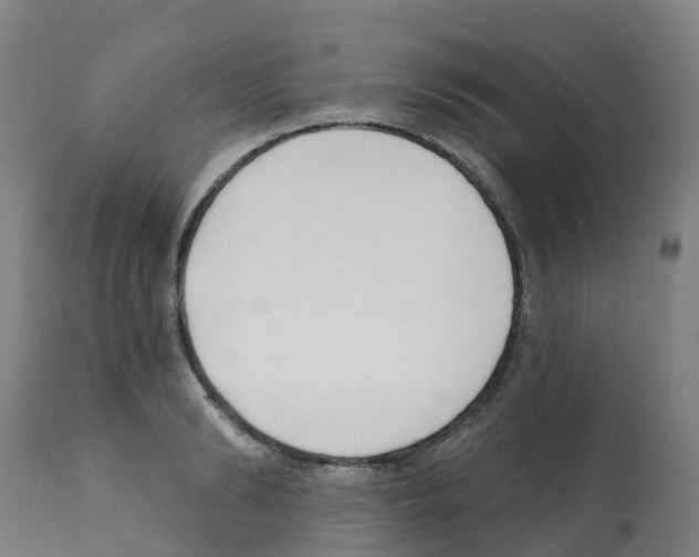 X0000112390894200909241236