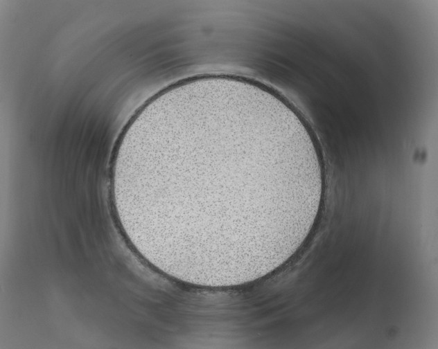 X0000112390895200909241236
