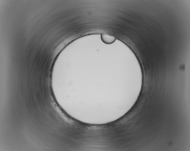 X0000112390898200909241235
