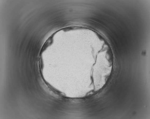 X0000112390899200909241235