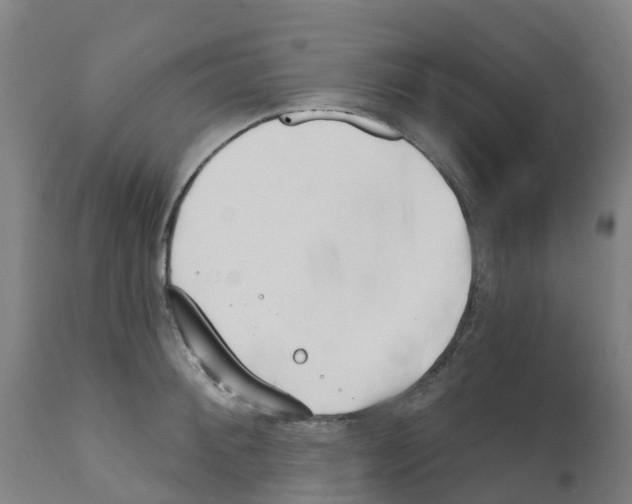 X0000112390900200909241235