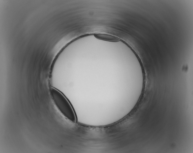 X0000112390901200909241235