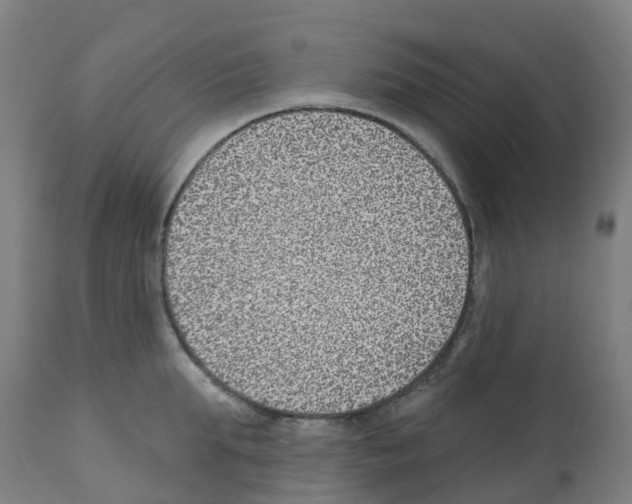 X0000112390903200909241235
