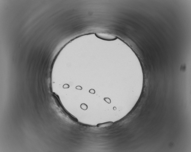X0000112390904200909241235