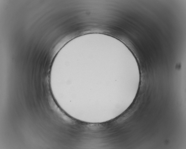 X0000112390906200909241235