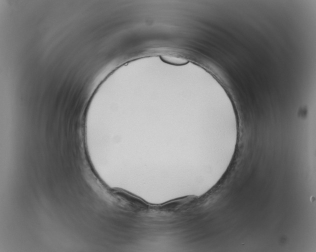 X0000112390907200909241235