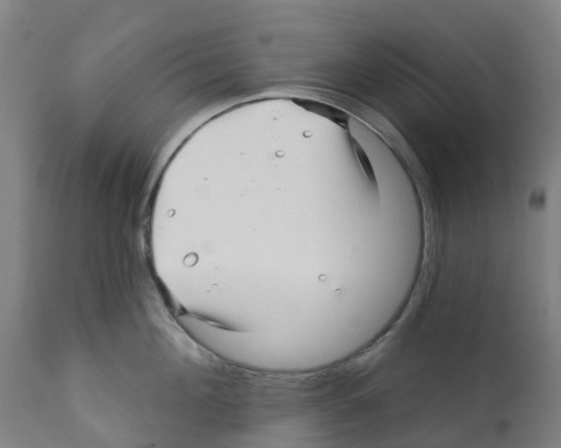 X0000112390908200909241235