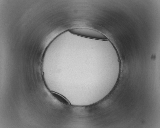 X0000112390909200909241235