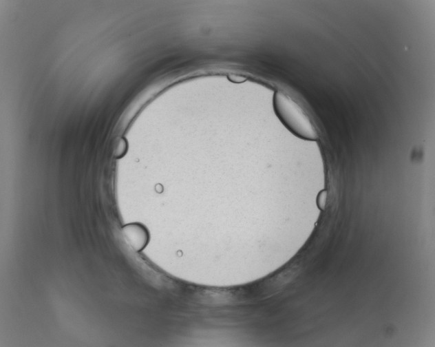 X0000112390911200909241235