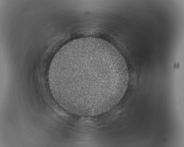 X0000112390913200909241235