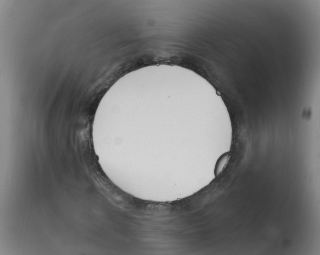 X0000112390914200909241235