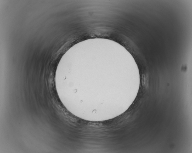 X0000112390915200909241235