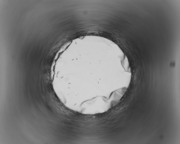 X0000112390916200909241235