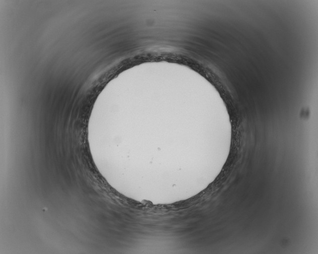 X0000112390919200909241235
