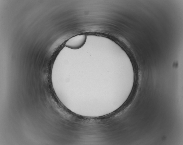 X0000112390922200909241235
