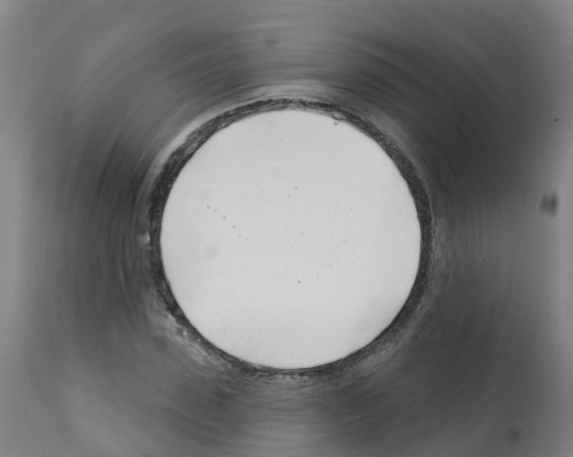 X0000112390923200909241235