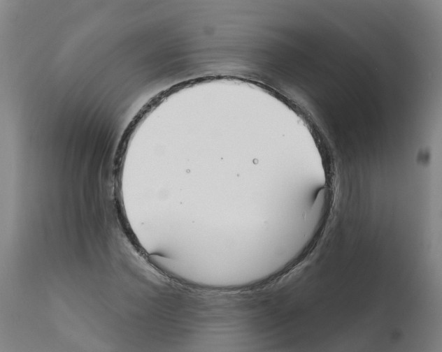 X0000112390924200909241235