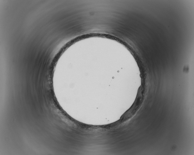 X0000112390926200909241235