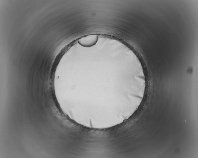 X0000112390928200909241235