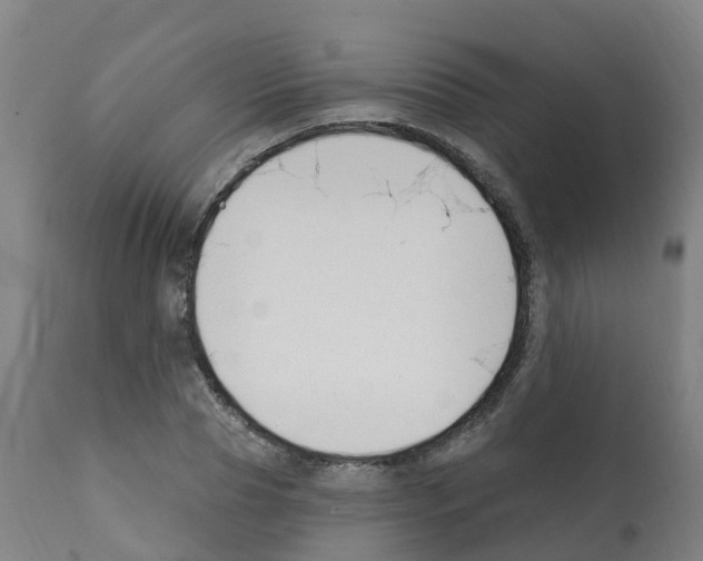 X0000112390929200909241235