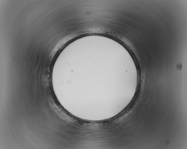 X0000112390930200909241235