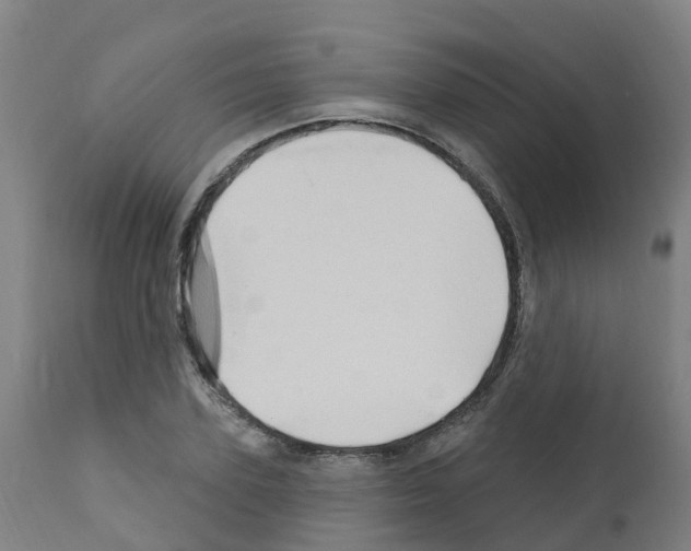 X0000112390931200909241235