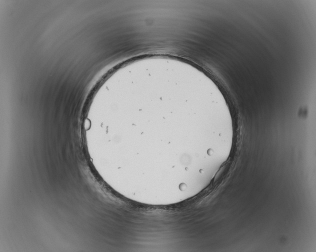 X0000112390932200909241235