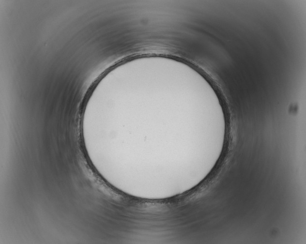 X0000112390933200909241235