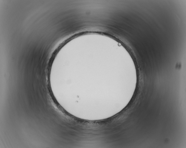 X0000112390935200909241235
