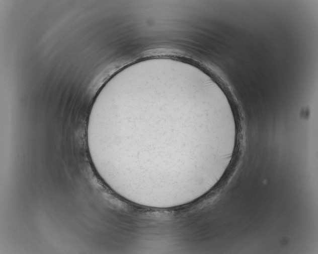 X0000112390937200909241235