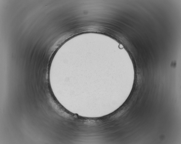 X0000112390938200909241235