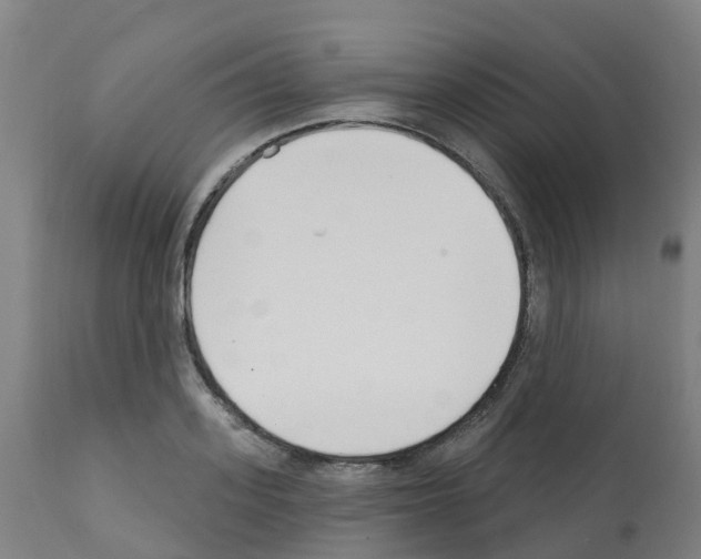 X0000112390939200909241235