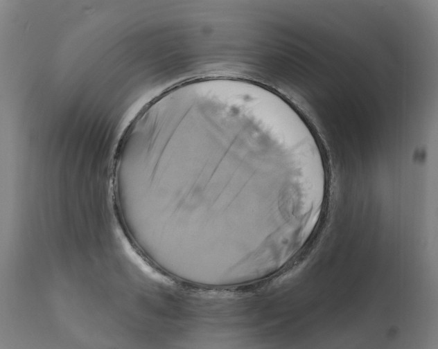 X0000112390941200909241235