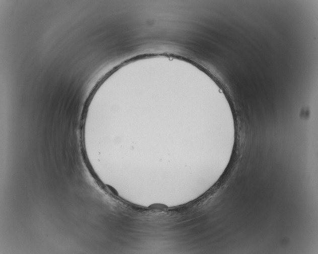 X0000112390943200909241235