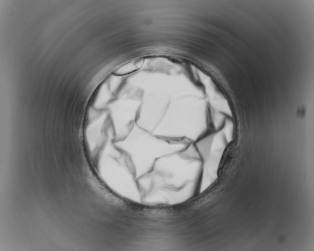 X0000112390946200909241235