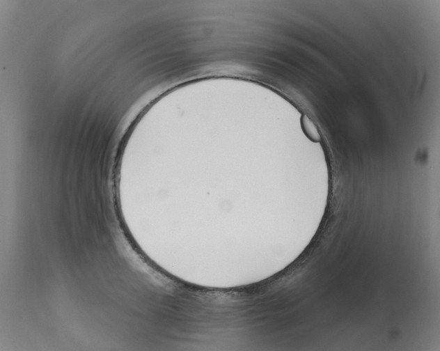 X0000112390947200909241235