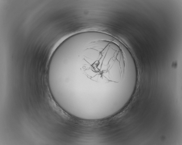 X0000112390948200909241235