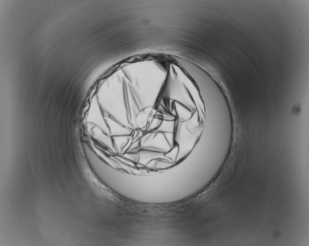 X0000112390952200909241235