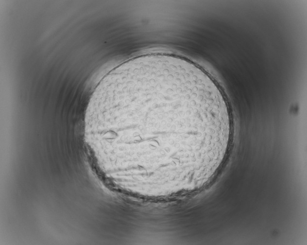 X0000112390953200909241235