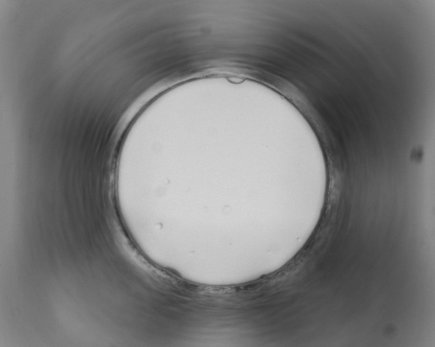 X0000112390955200909241235