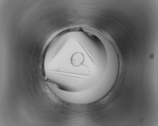 X0000112390956200909241235