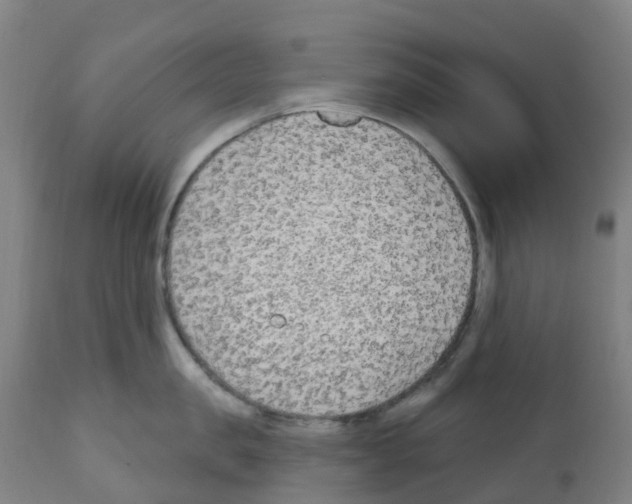 X0000112390957200909241235