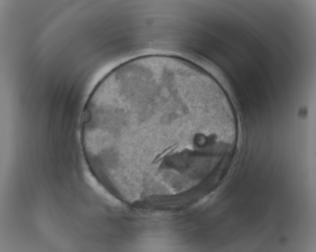 X0000112390958200909241235