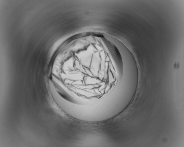 X0000112390960200909241235