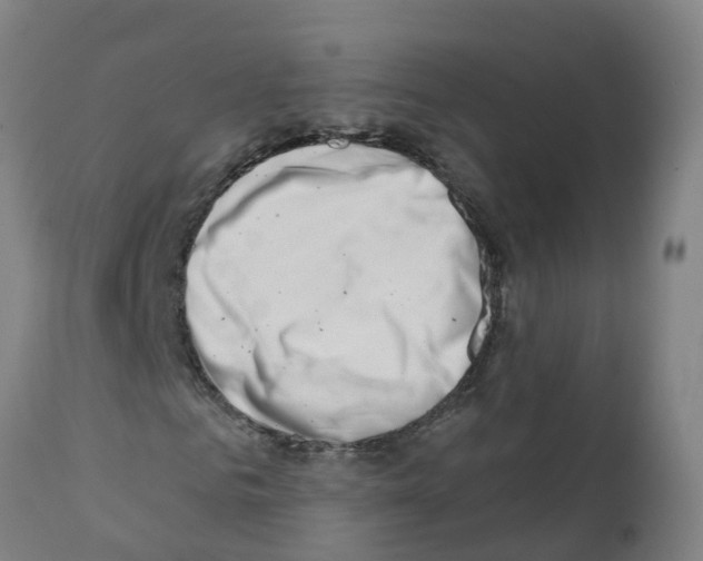 X0000112390961200909241235